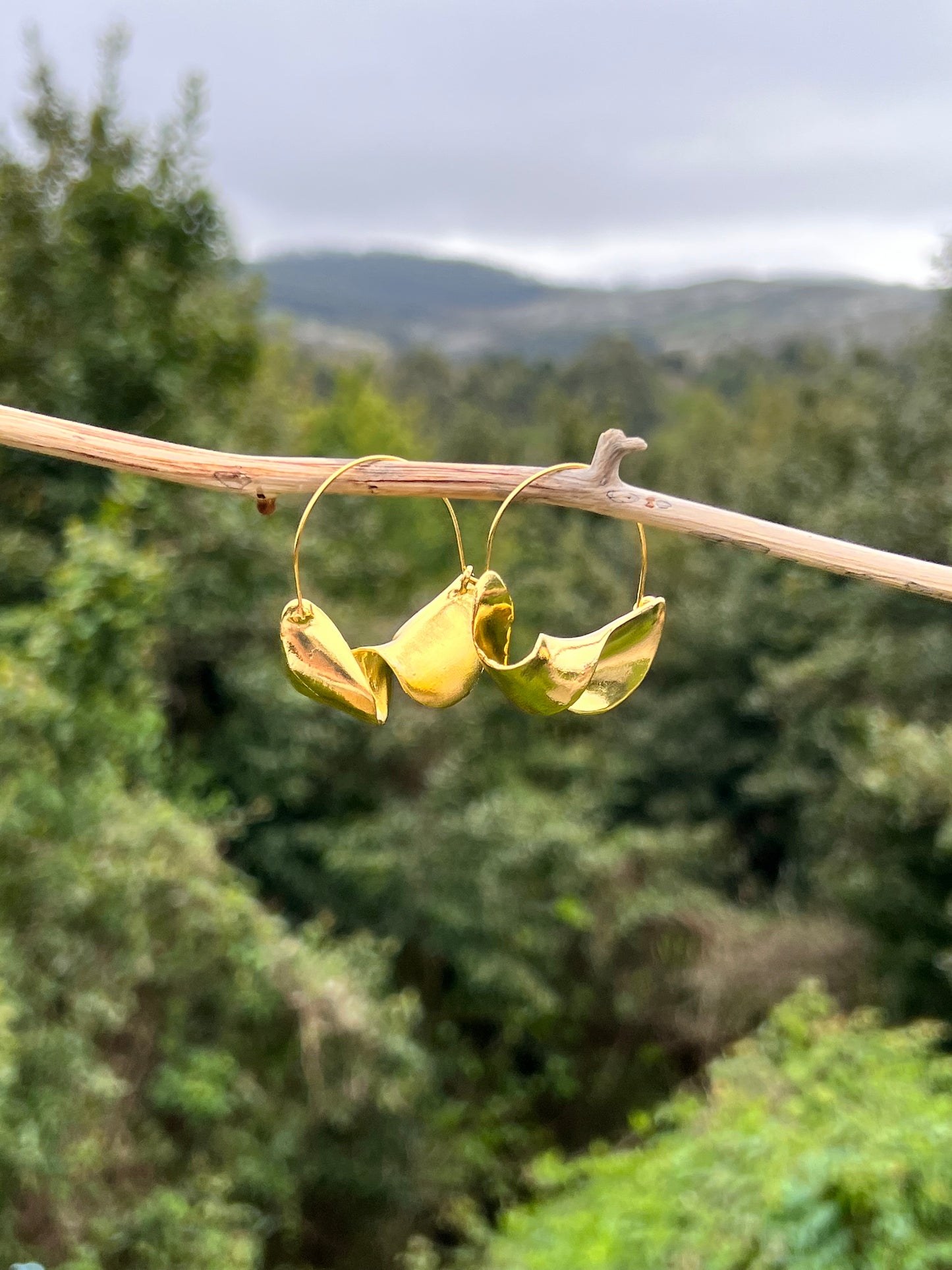 Pendientes rizados